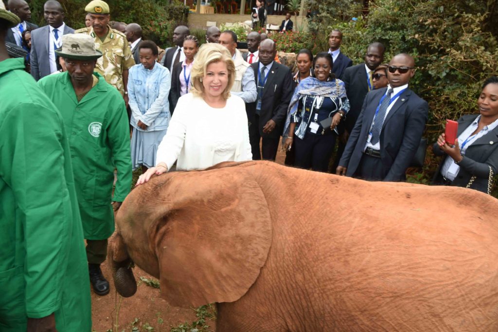 The Spouses of the Heads of State discover the fauna of Nairobi Park